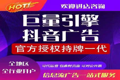 Sem优化公司案例：精准广告投放策略解析